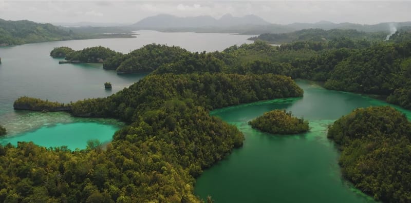 Forested islands around a sheltered green lagoon in the Togean Islands
