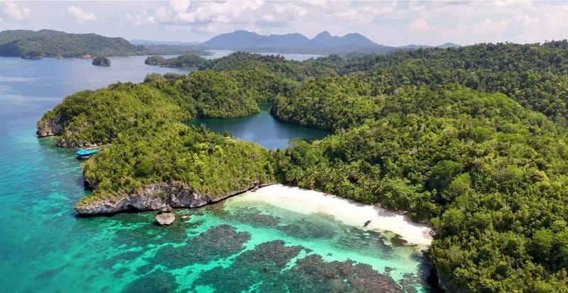 Forested Togean islets and a strip of pale beach, seen from above