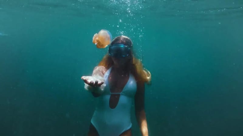 A snorkeller reaching towards a golden jellyfish in green water