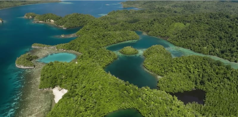 Forested islands and green lagoons in the Togean Islands, seen from above
